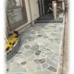 IMG_0670